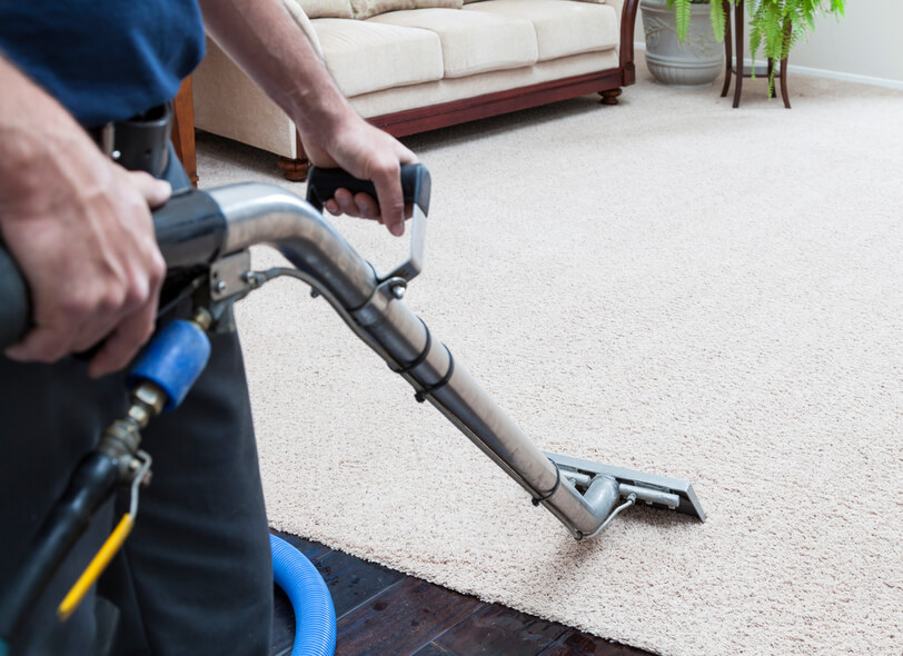 Steam Cleaning Carpets Man cleaning carpets in home