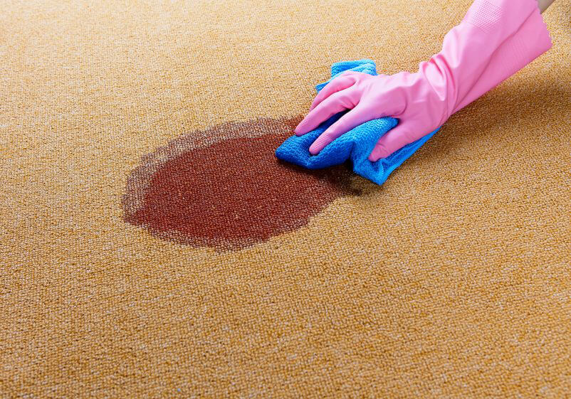 Cleaning Woman cleaning carpet