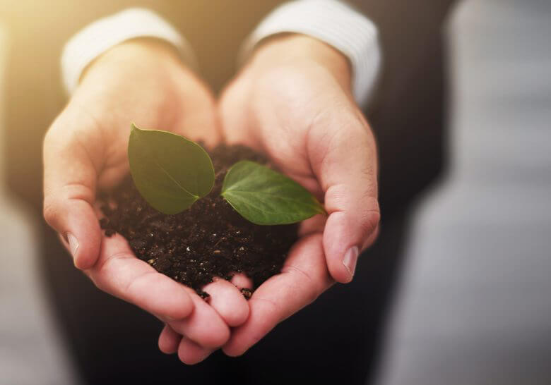 The future of business is in safe hands Cropped shot of a businessman holding a plant growing in soilhttp://195.154.178.81/DATA/i_collage/pi/shoots/805355.jpg